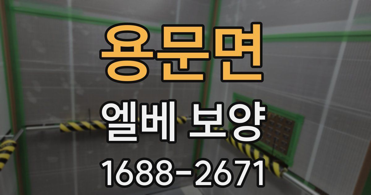 용문면 엘베 보양