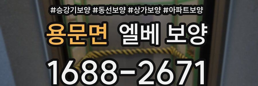 용문면 엘베 보양