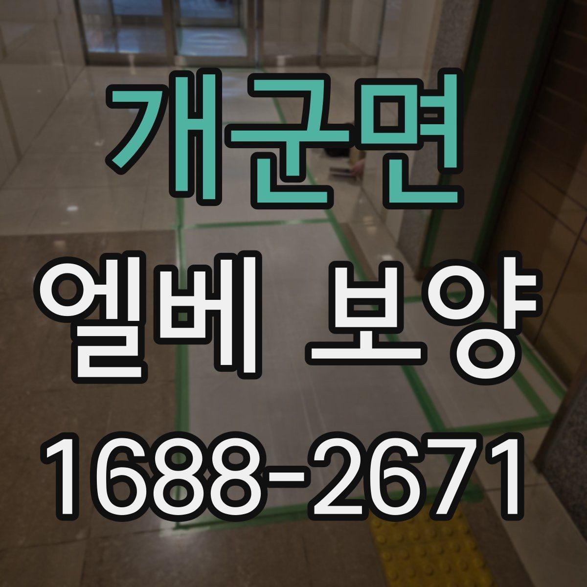 개군면 엘베 보양 공용부 동선이 겹칠 때 먼저 챙길 구간