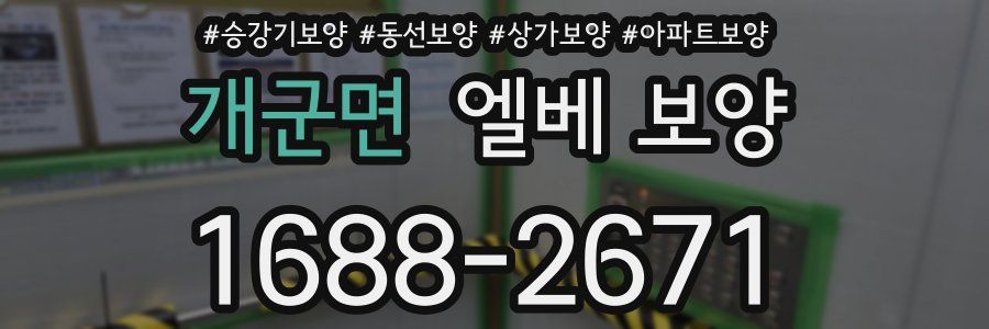 개군면 엘베 보양