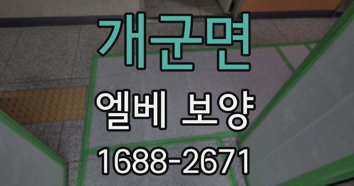 개군면 엘베 보양