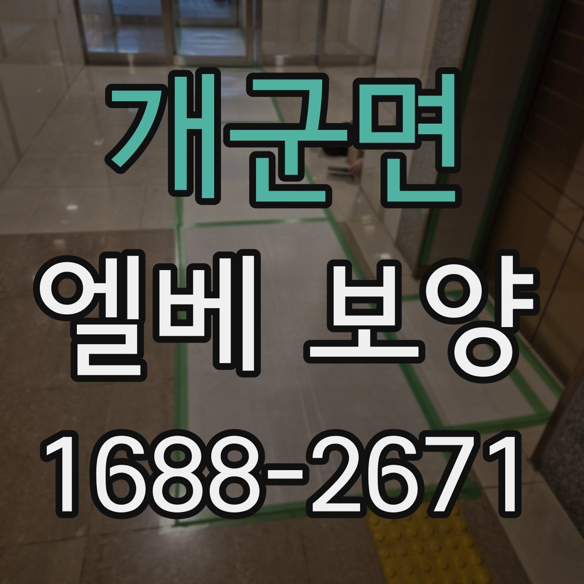개군면 엘베 보양