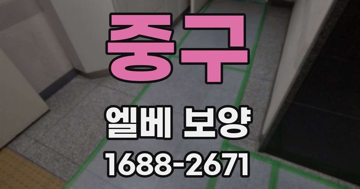 중구 엘베 보양
