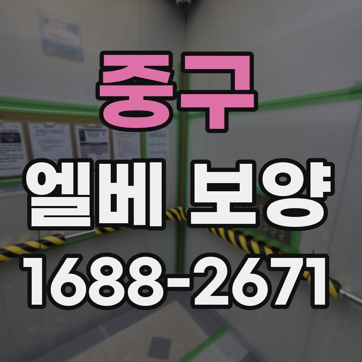 중구 엘베 보양