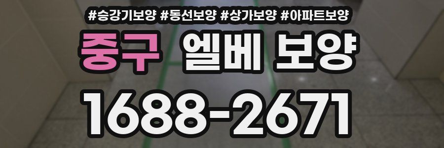중구 엘베 보양