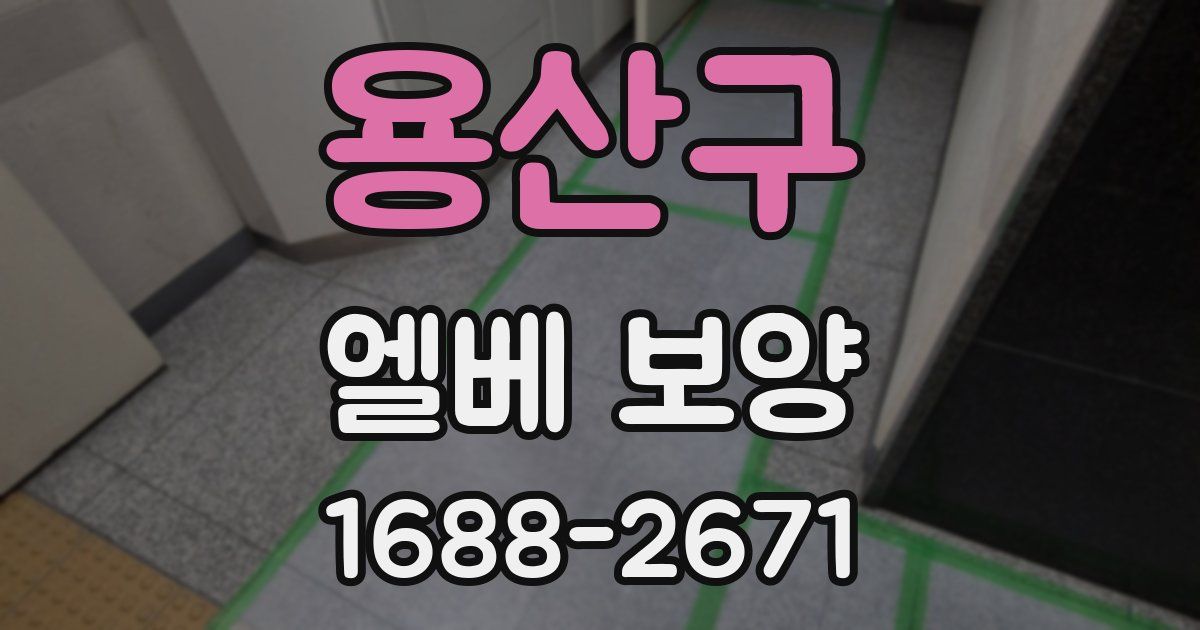 용산구 엘베 보양