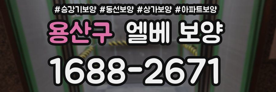 용산구 엘베 보양