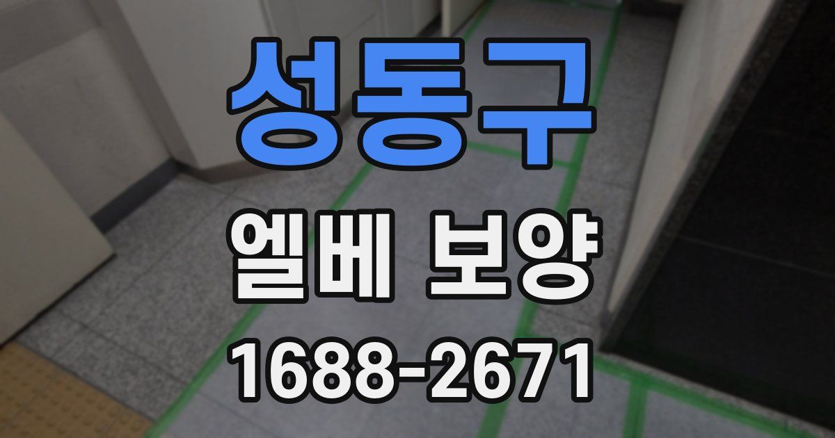 성동구 엘베 보양