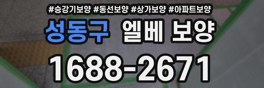 성동구 엘베 보양