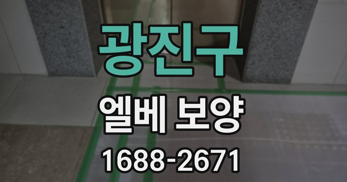 광진구 엘베 보양