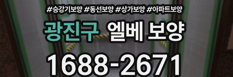 광진구 엘베 보양