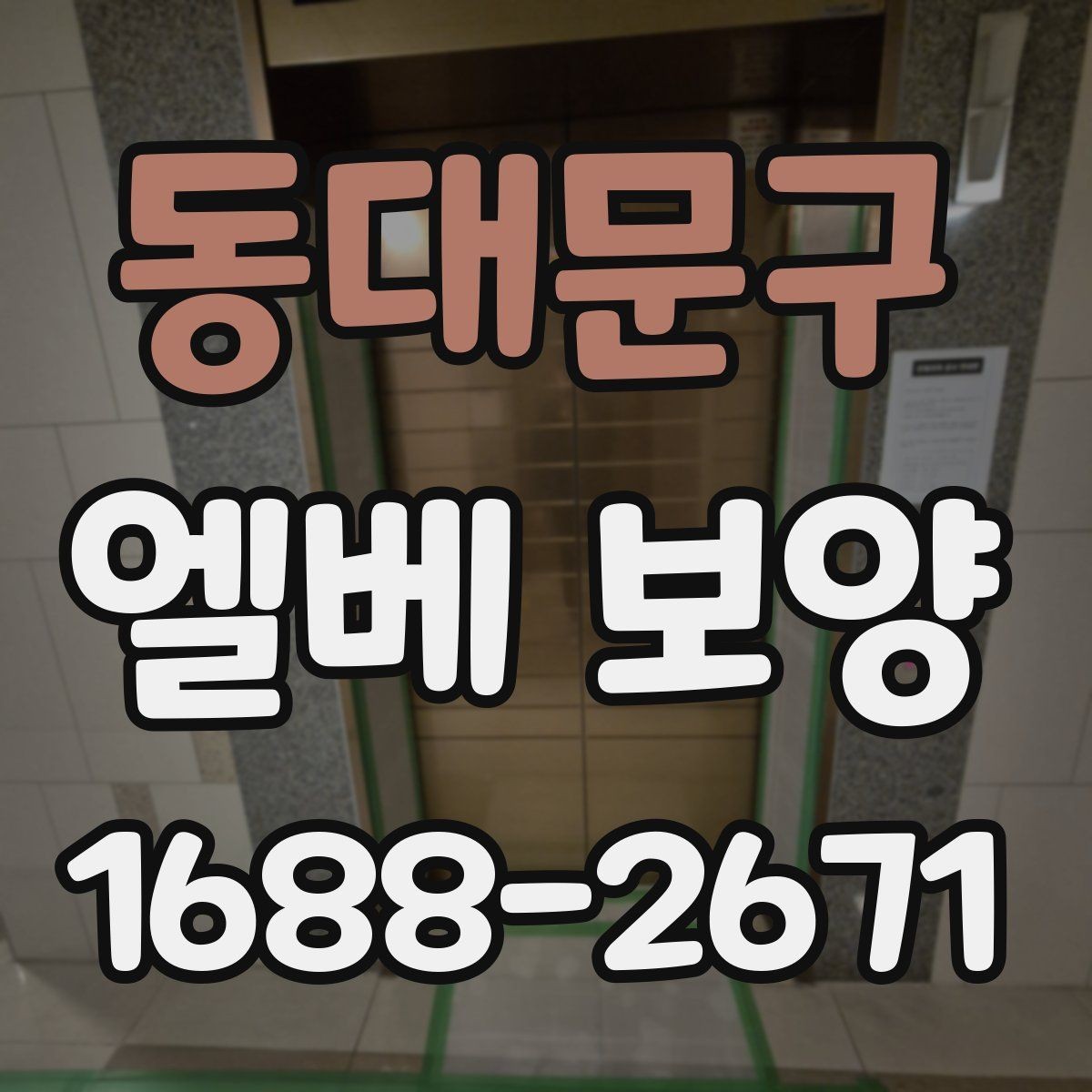 동대문구 엘베 보양 승강기 내부와 출입부를 나눠 보는 법