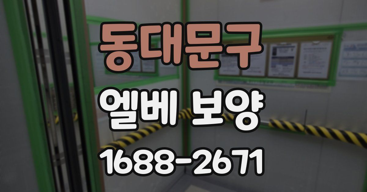 동대문구 엘베 보양