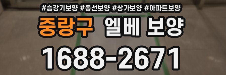 중랑구 엘베 보양