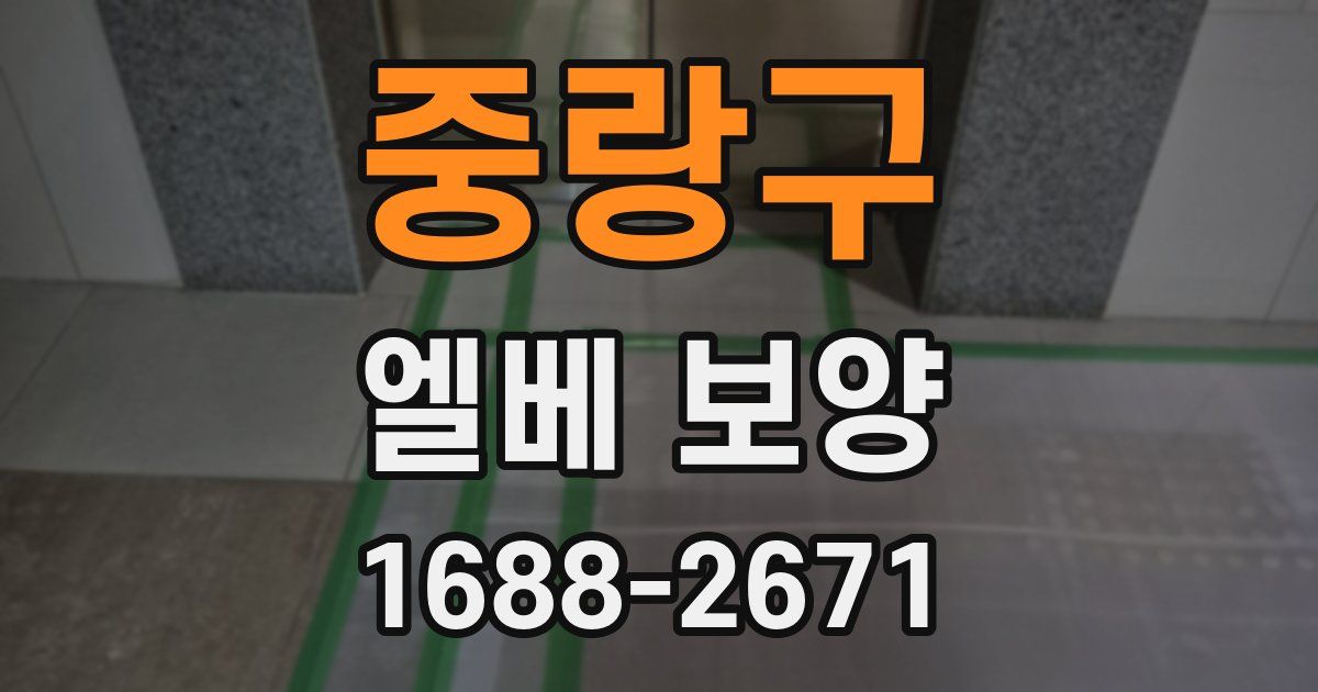 중랑구 엘베 보양