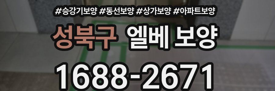 성북구 엘베 보양