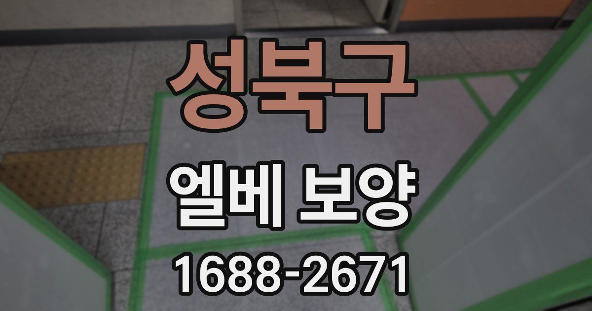 성북구 엘베 보양