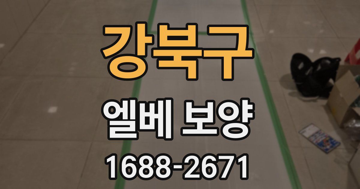 강북구 엘베 보양