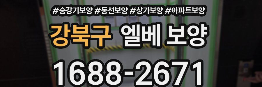 강북구 엘베 보양