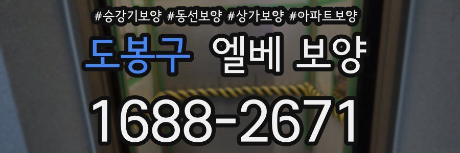 도봉구 엘베 보양