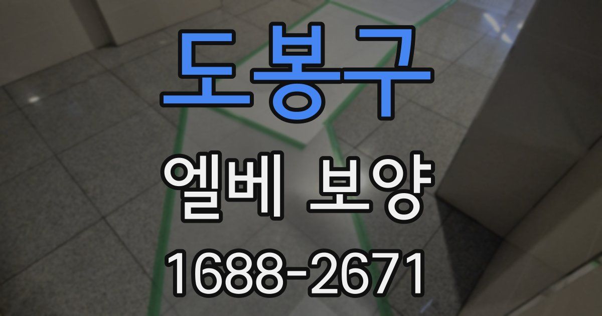 도봉구 엘베 보양