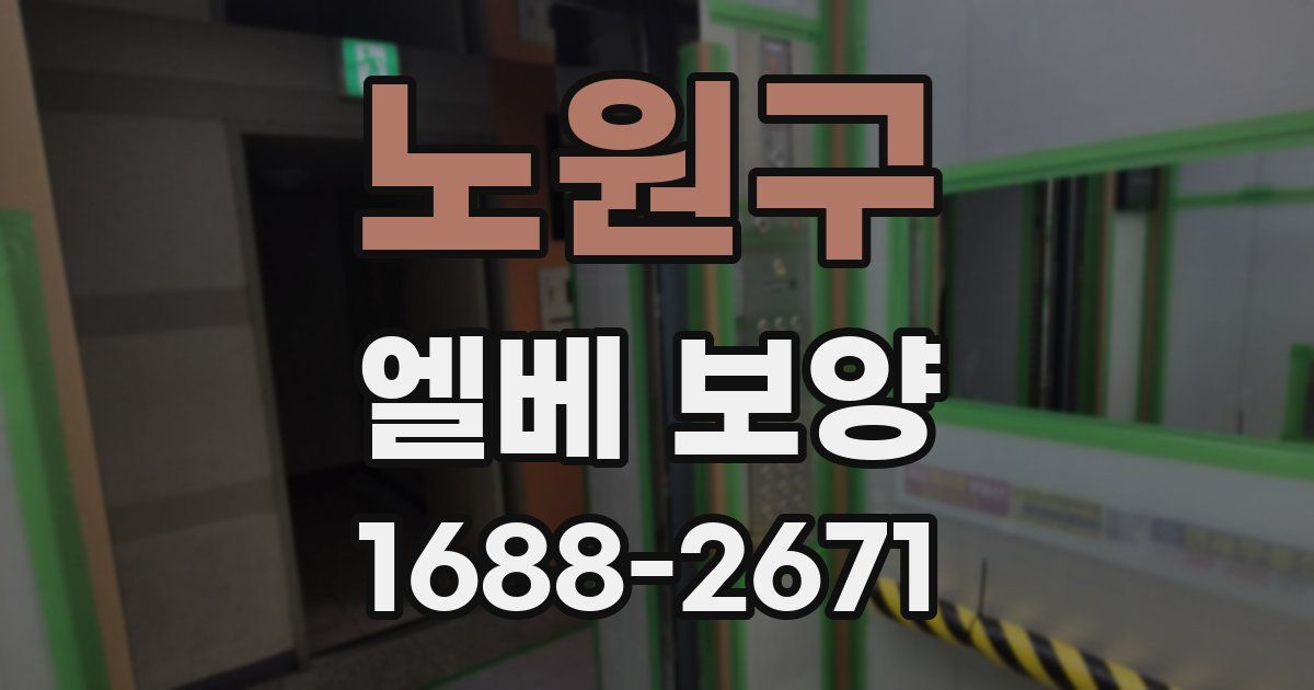 노원구 엘베 보양