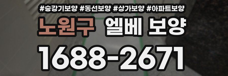 노원구 엘베 보양