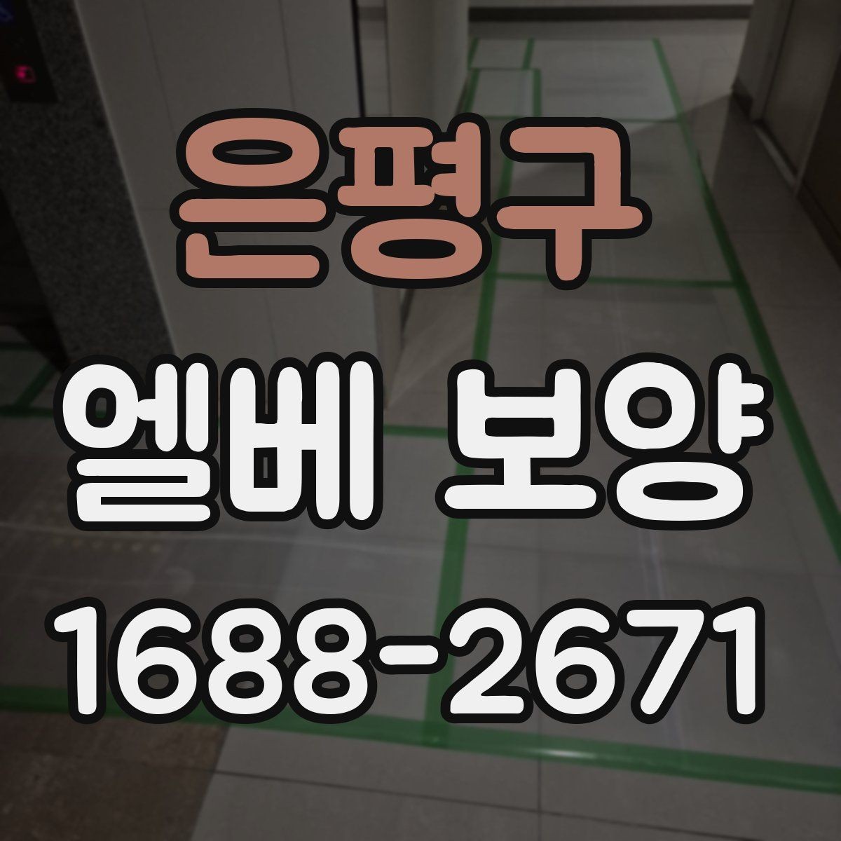 은평구 엘베 보양 사진 기록이 필요한 순간과 관리 방법