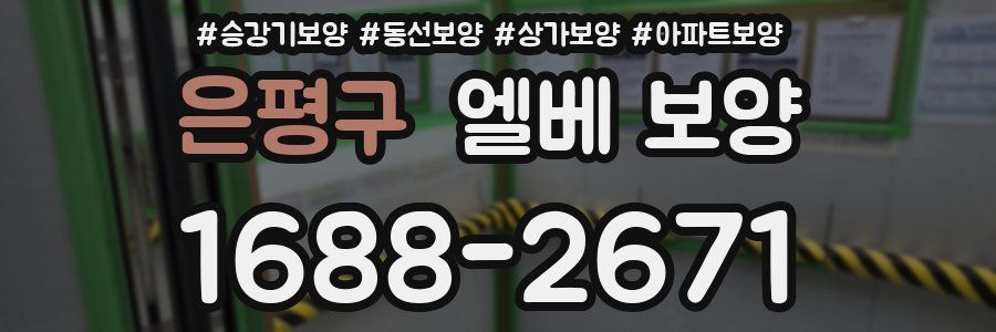 은평구 엘베 보양
