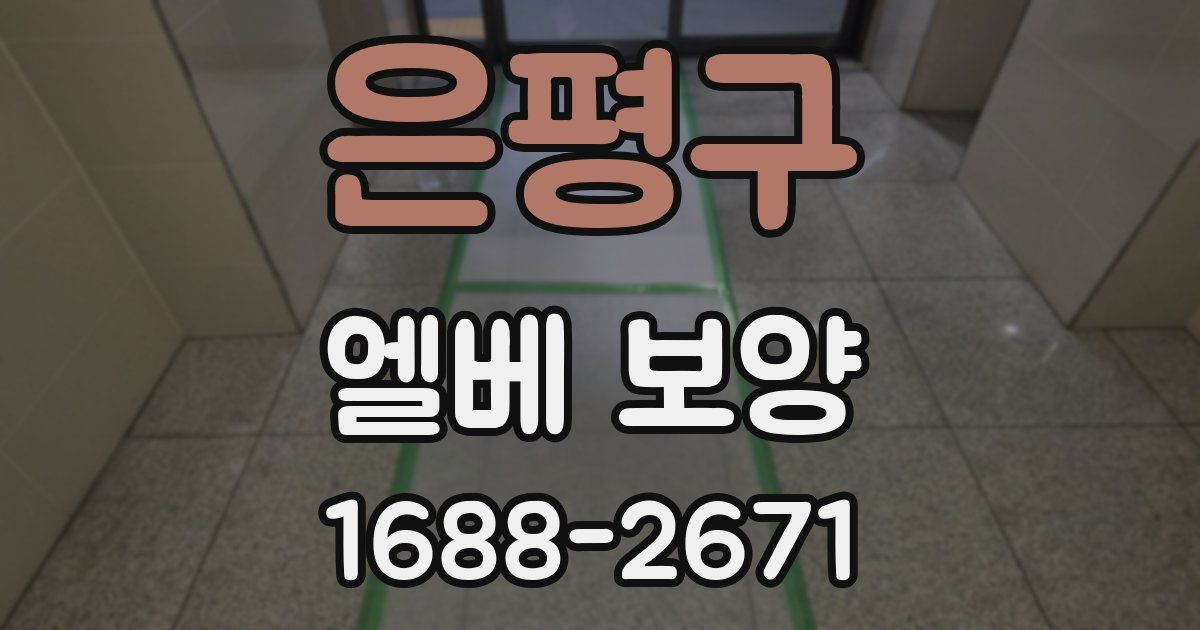 은평구 엘베 보양