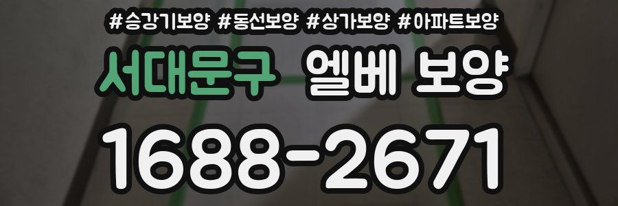 서대문구 엘베 보양