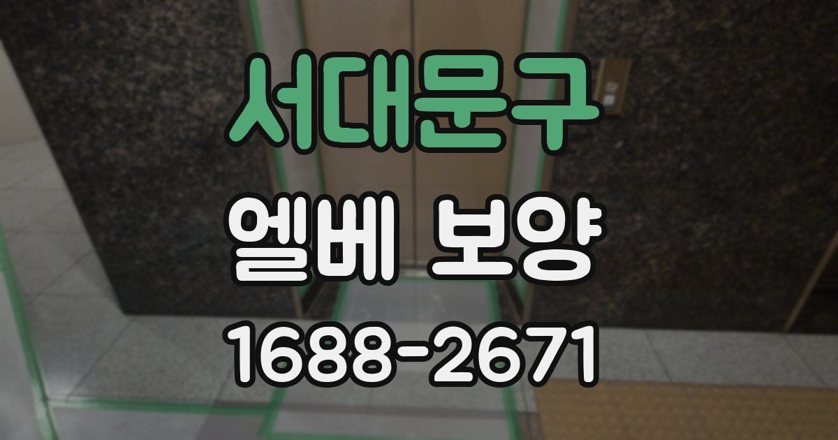 서대문구 엘베 보양