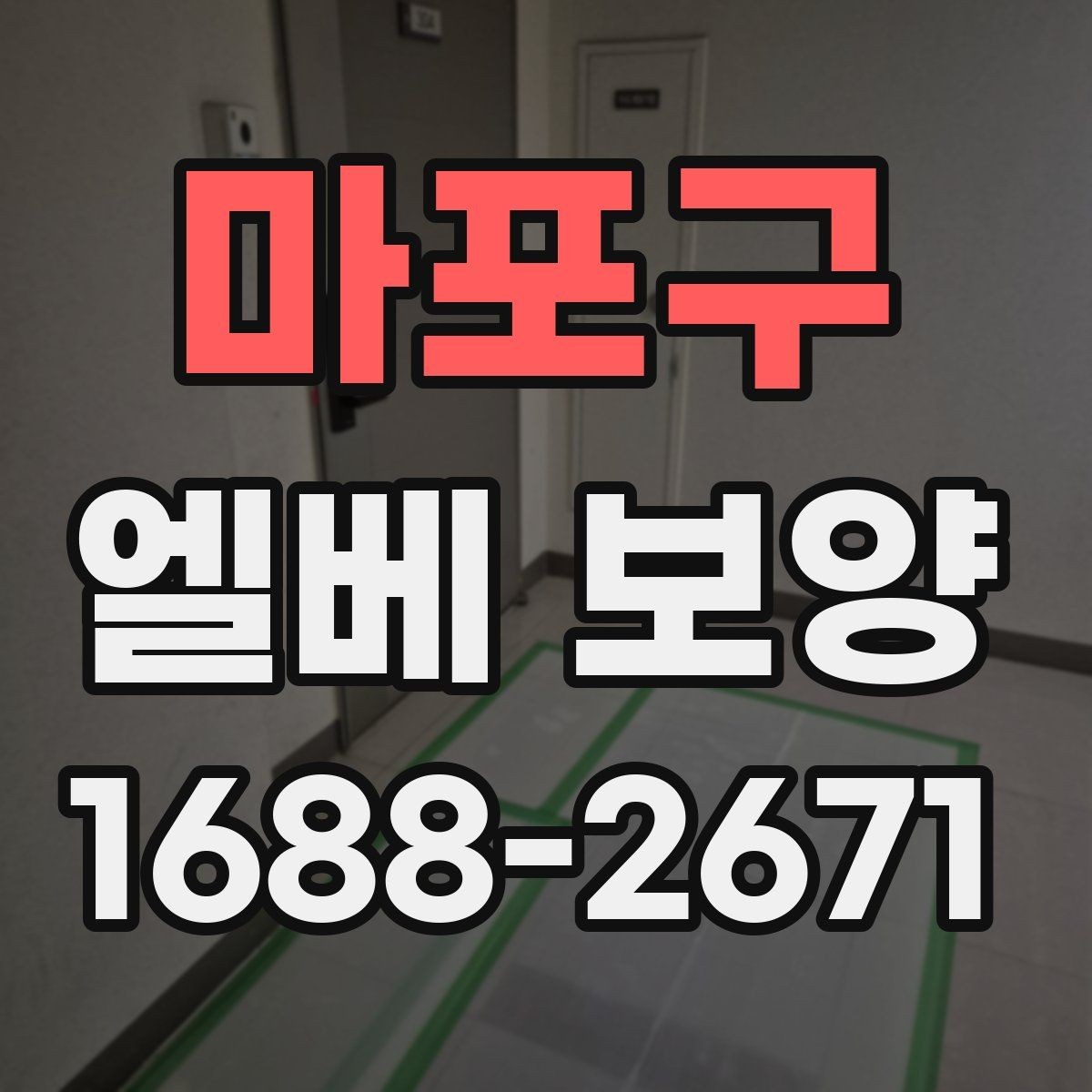 마포구 엘베 보양 문 주변 손상 방지를 위한 확인 항목