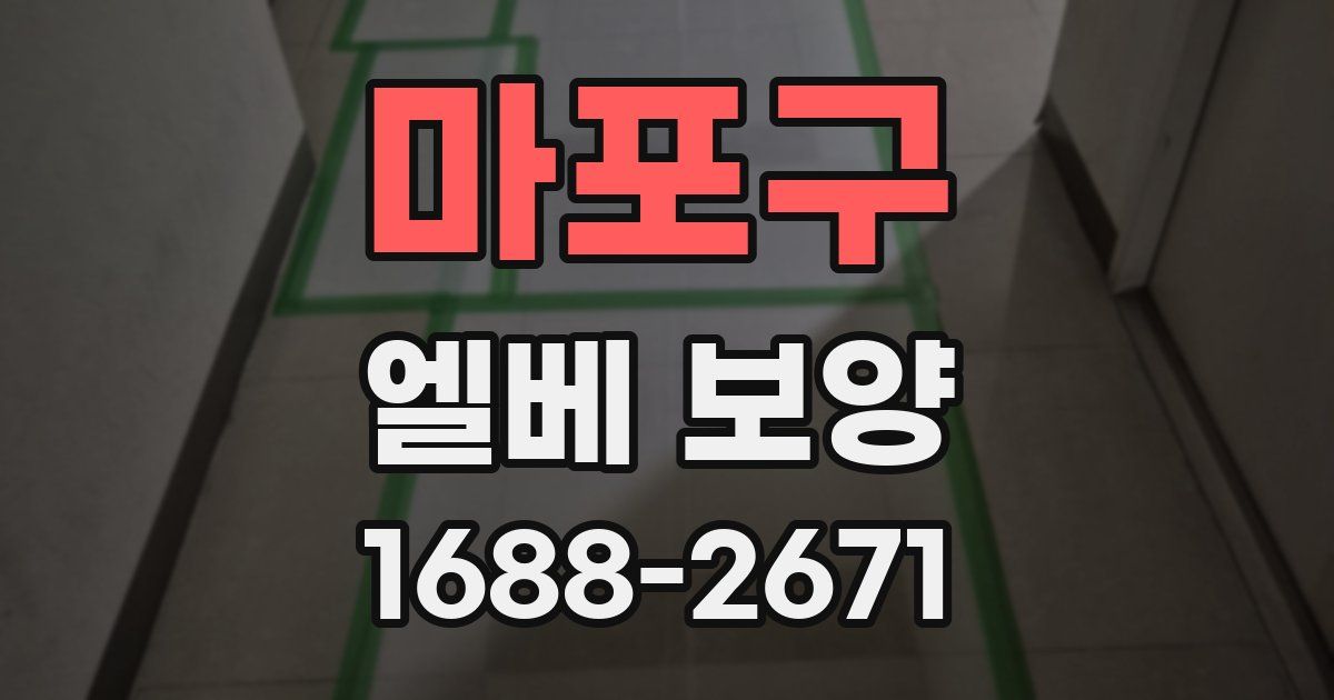 마포구 엘베 보양