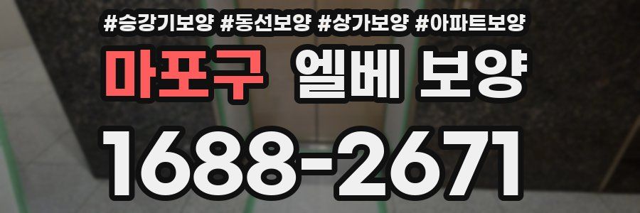 마포구 엘베 보양