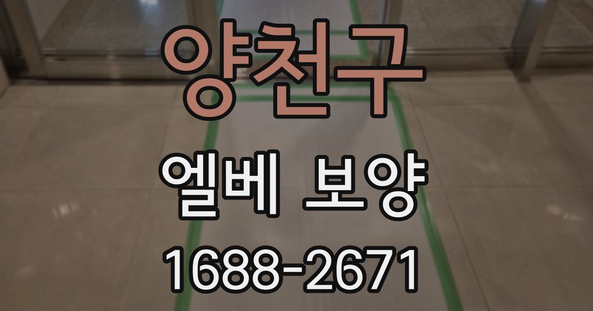 양천구 엘베 보양