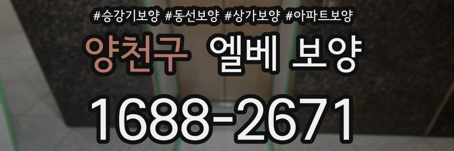 양천구 엘베 보양