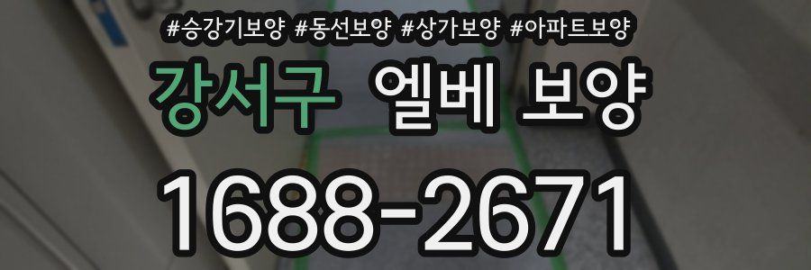 강서구 엘베 보양