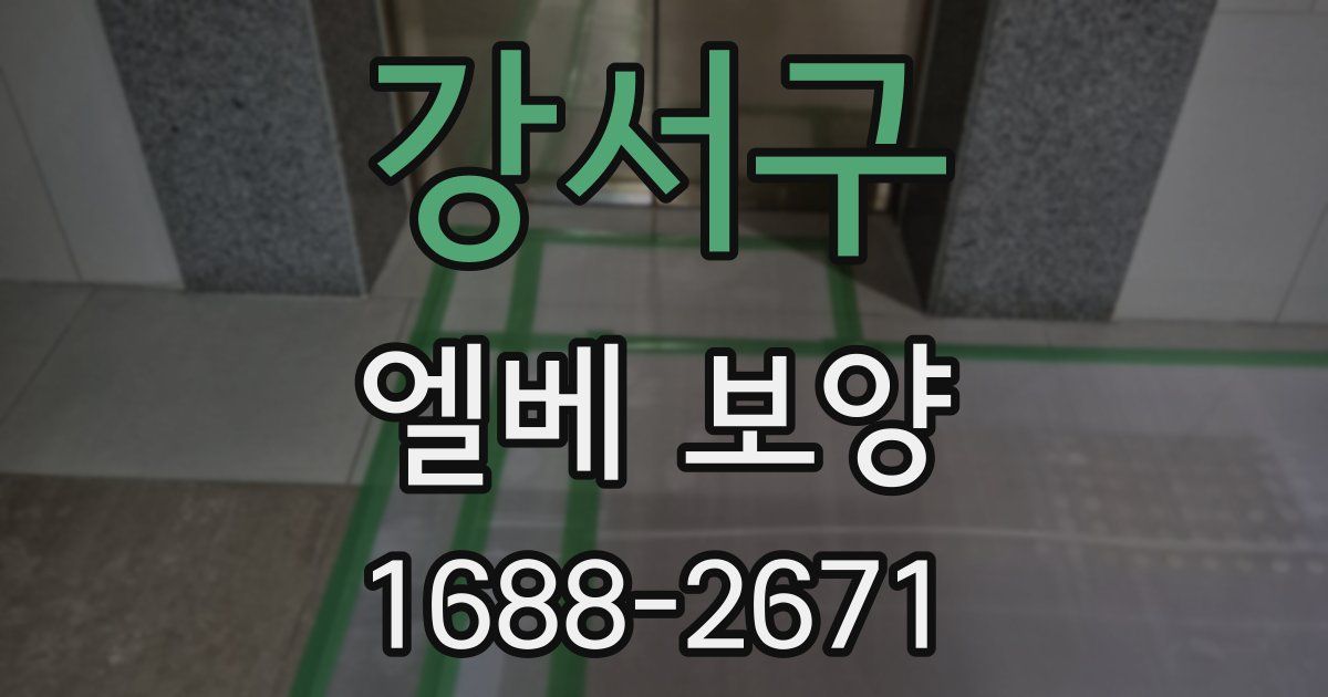 강서구 엘베 보양