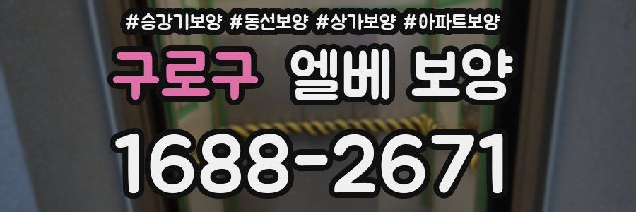 구로구 엘베 보양