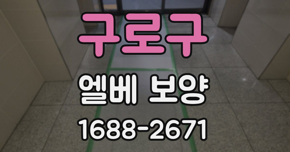 구로구 엘베 보양