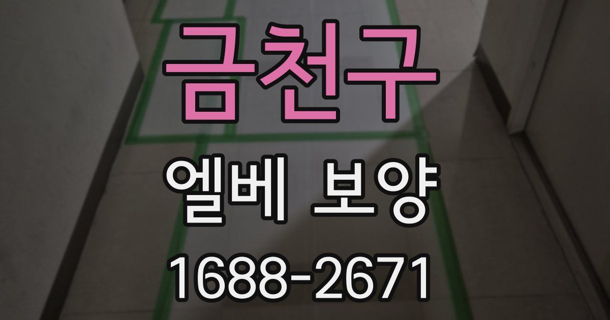 금천구 엘베 보양