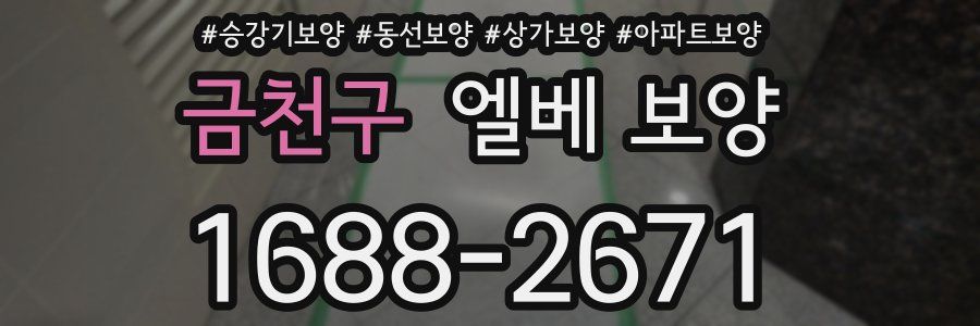 금천구 엘베 보양