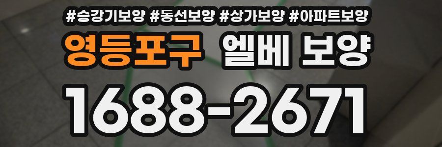 영등포구 엘베 보양