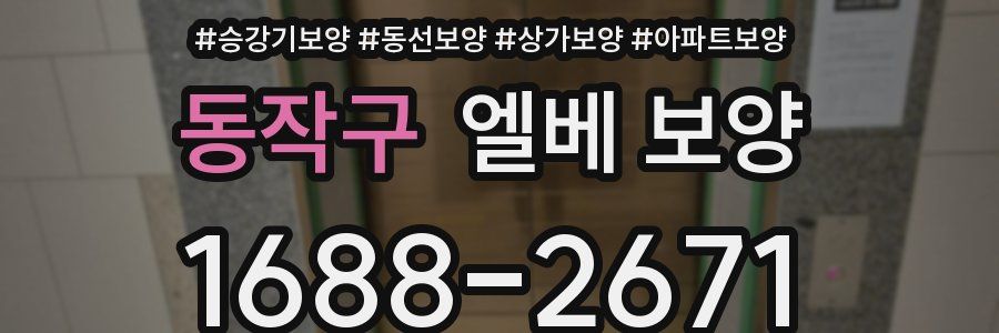 동작구 엘베 보양