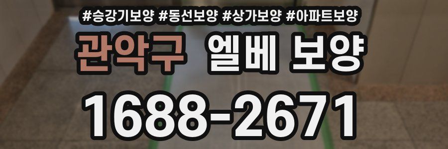 관악구 엘베 보양