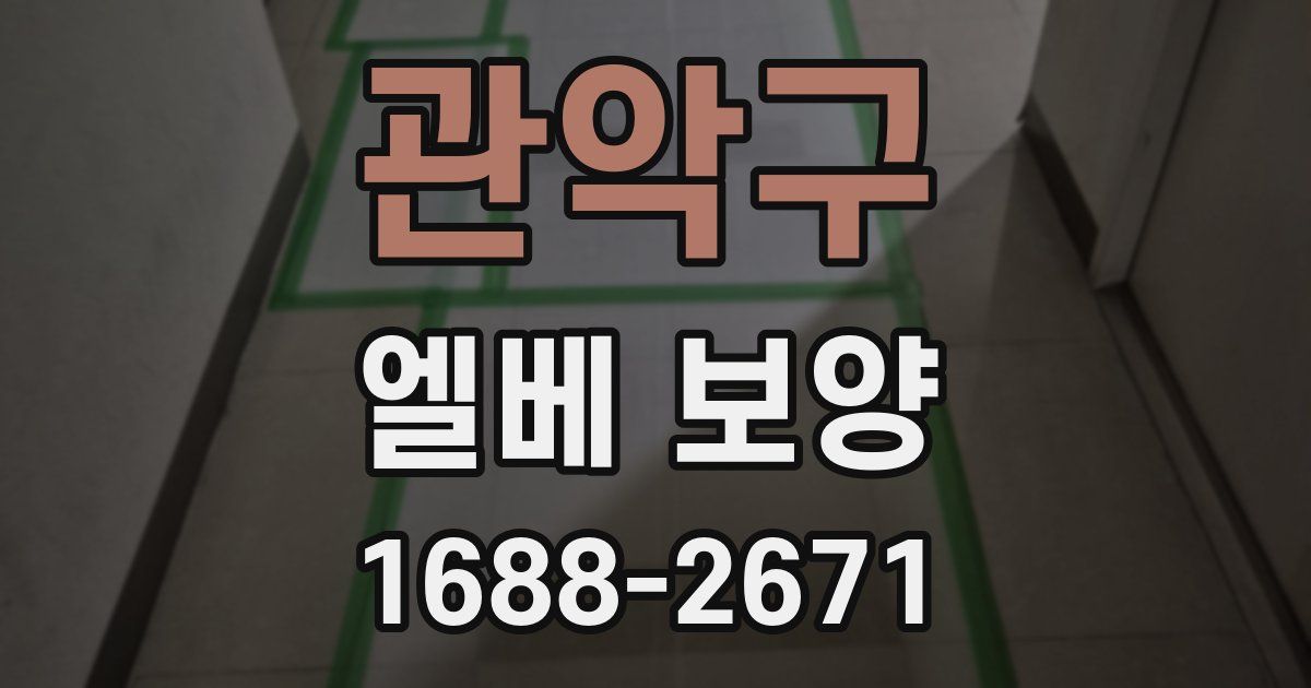 관악구 엘베 보양