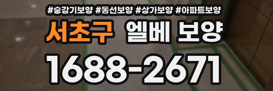 서초구 엘베 보양