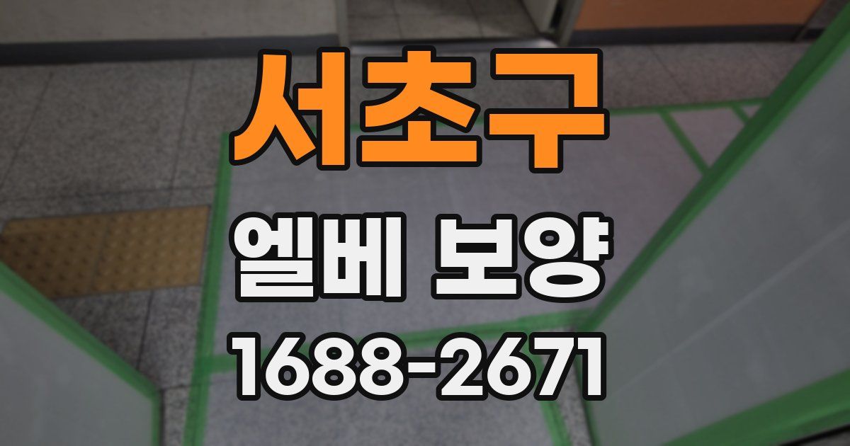 서초구 엘베 보양