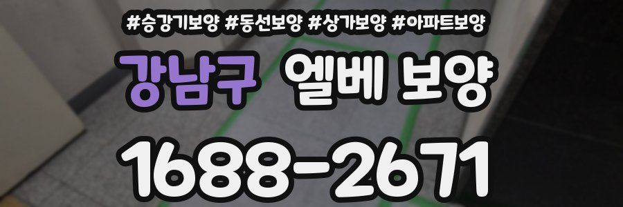 강남구 엘베 보양